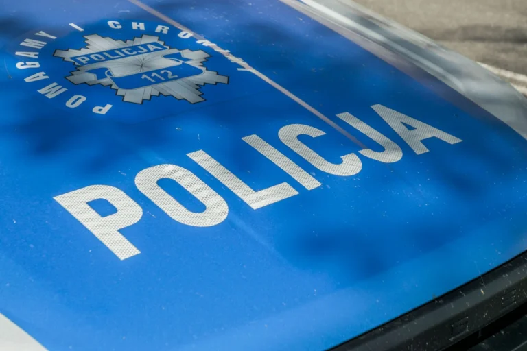 Strona internetowa dla firmy ochroniarskiej — co powinna zawierać?
